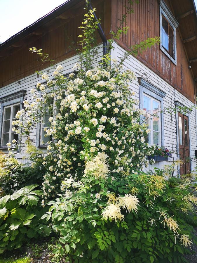 Grängesberg Disponentparken Cafe Och Bed & Breakfast מראה חיצוני תמונה