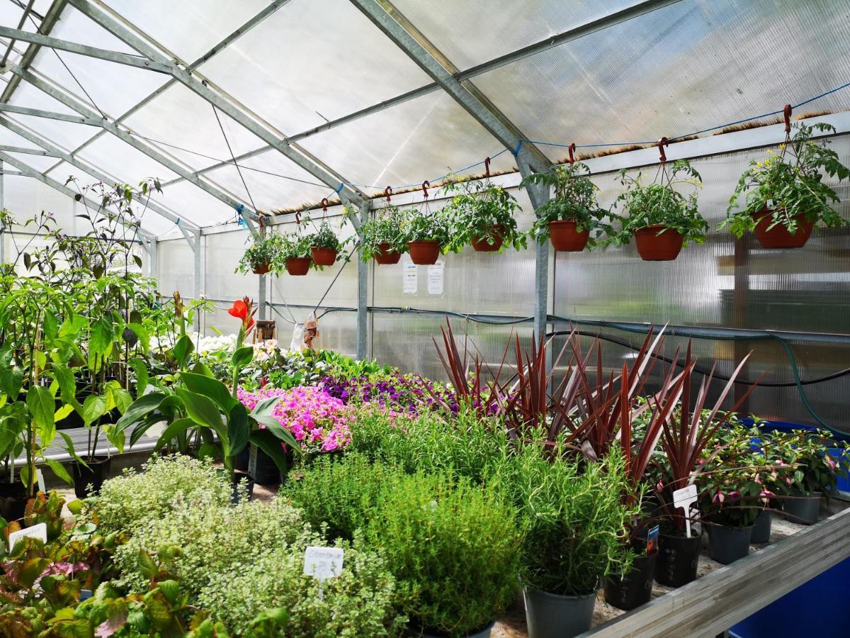 Grängesberg Disponentparken Cafe Och Bed & Breakfast מראה חיצוני תמונה