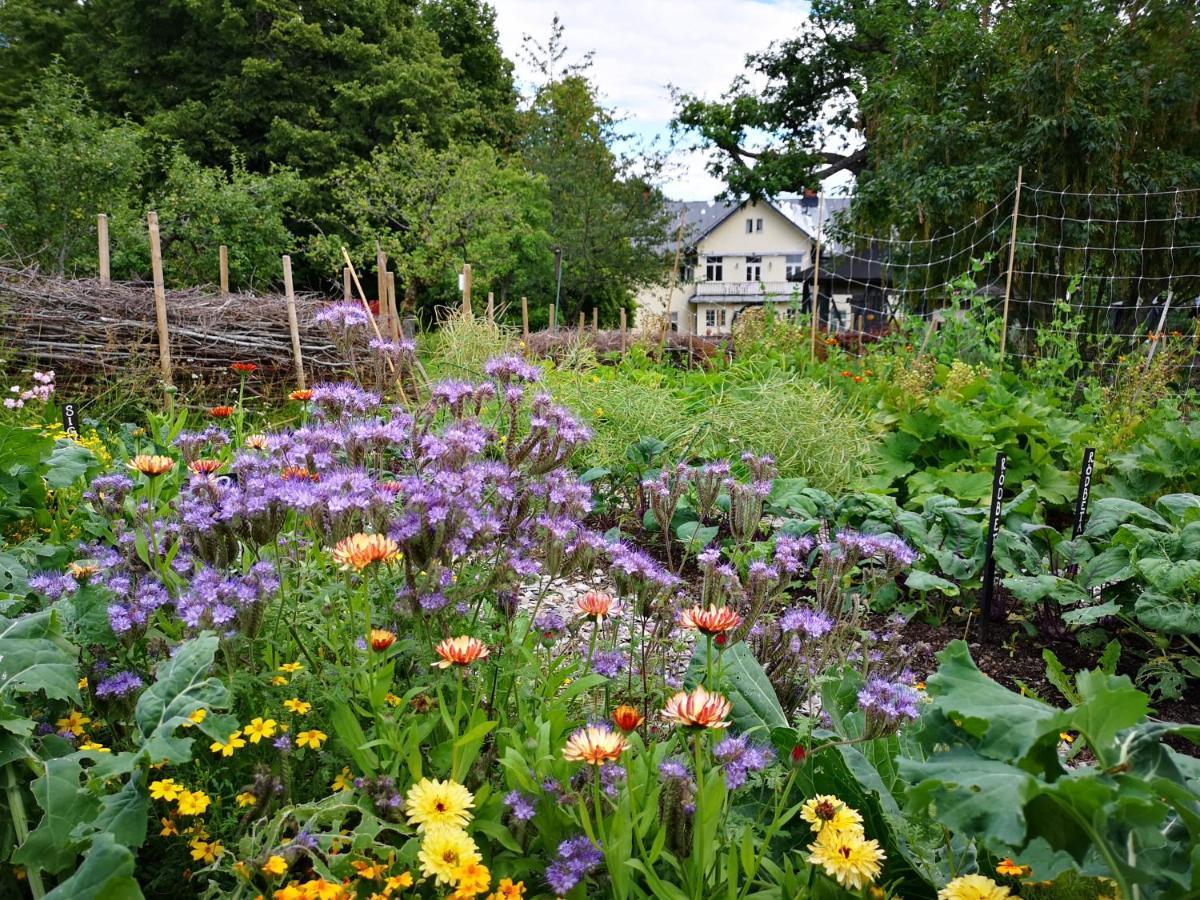 Grängesberg Disponentparken Cafe Och Bed & Breakfast מראה חיצוני תמונה